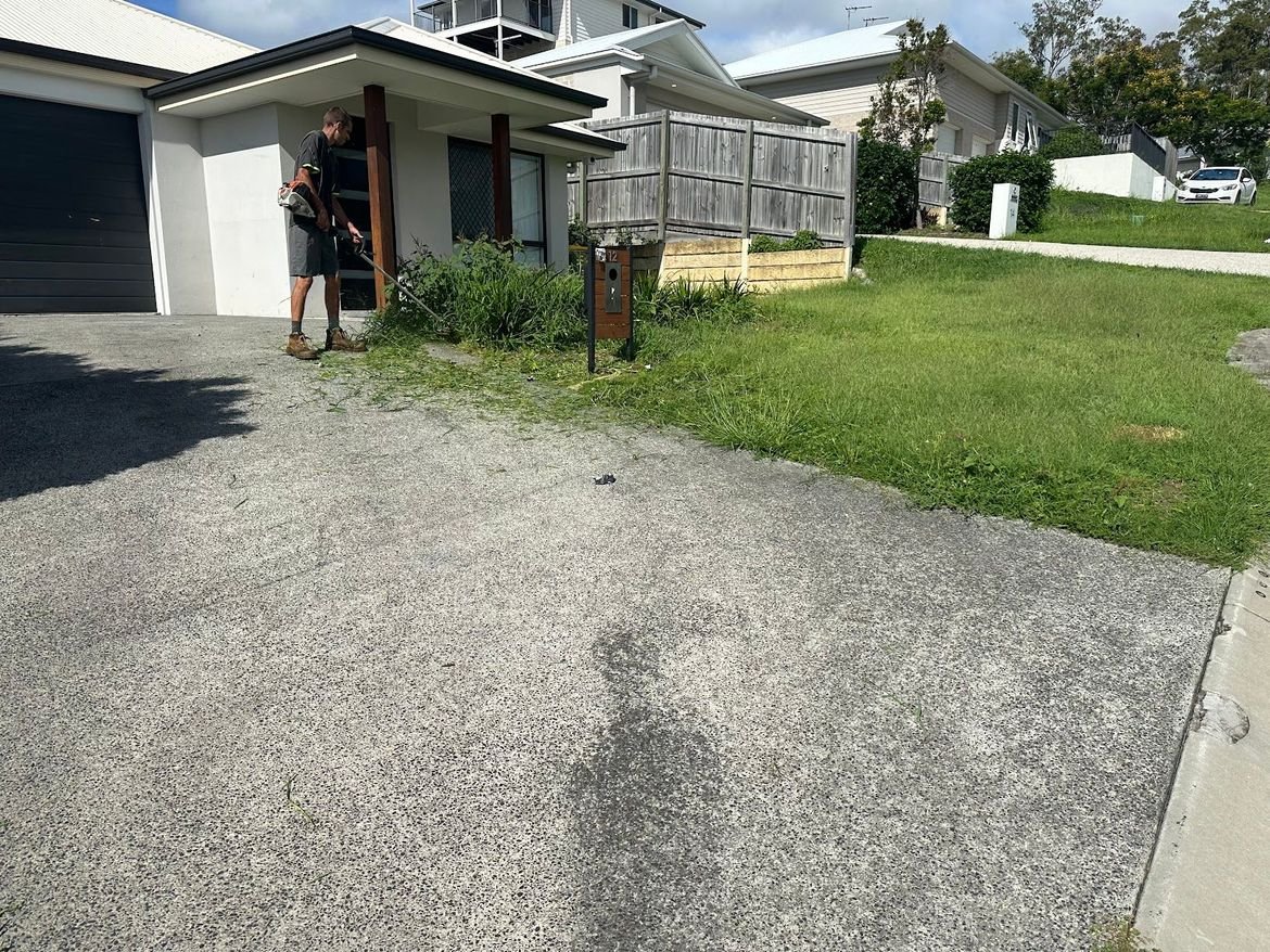 IMG_1733.jpeg IMG_1733.jpeg