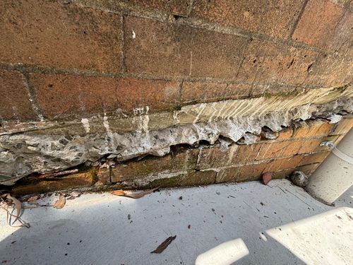 IMG_8305.jpeg IMG_8305.jpeg