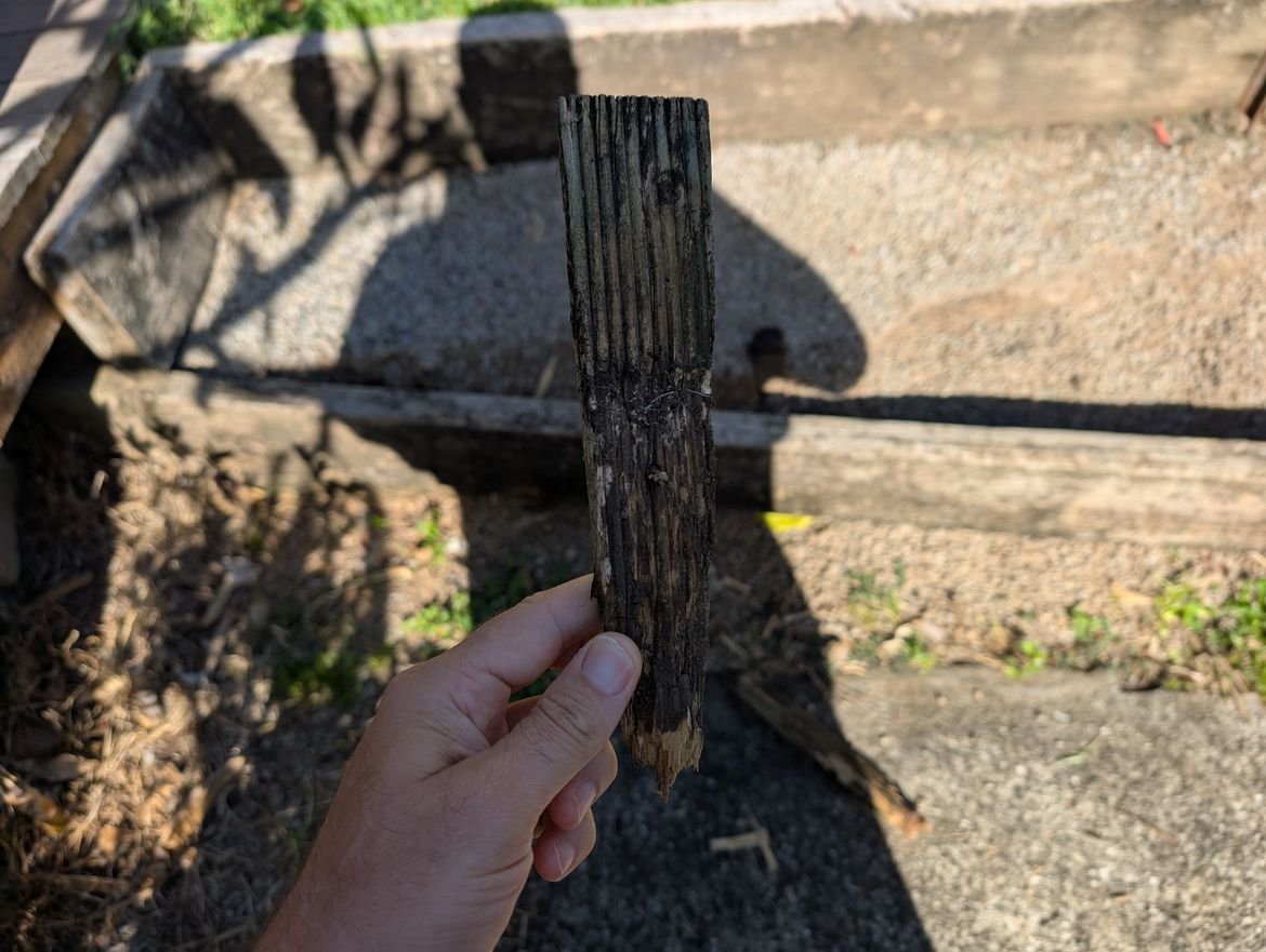 PXL_20250317_223332862.jpg PXL_20250317_223332862.jpg