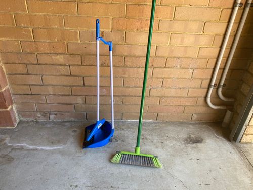 IMG_2575.jpeg IMG_2575.jpeg