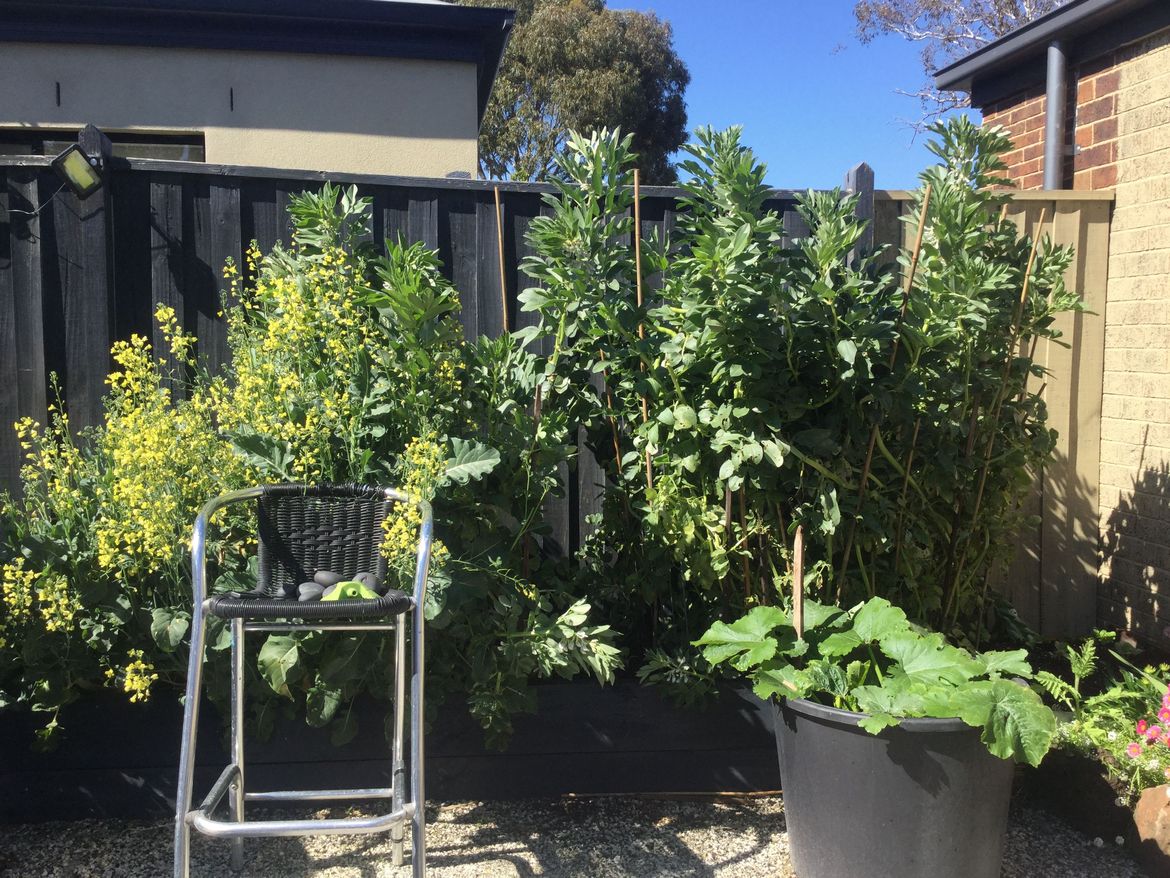 137769AC-57A8-424D-9D64-D2BE61259B18.jpeg 137769AC-57A8-424D-9D64-D2BE61259B18.jpeg