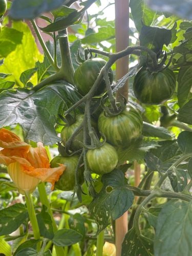 IMG_1012.jpeg IMG_1012.jpeg