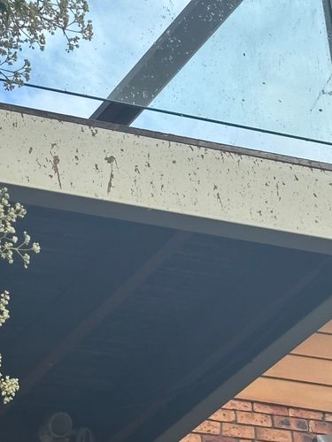 IMG_5017.jpeg IMG_5017.jpeg