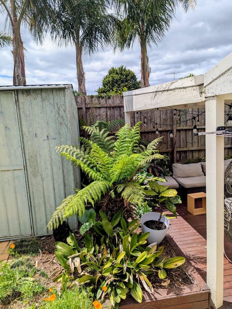 anchor-points.jpeg anchor-points.jpeg