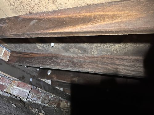 IMG_9942.jpeg IMG_9942.jpeg