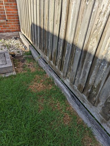 PXL_20230202_213156173.jpg PXL_20230202_213156173.jpg