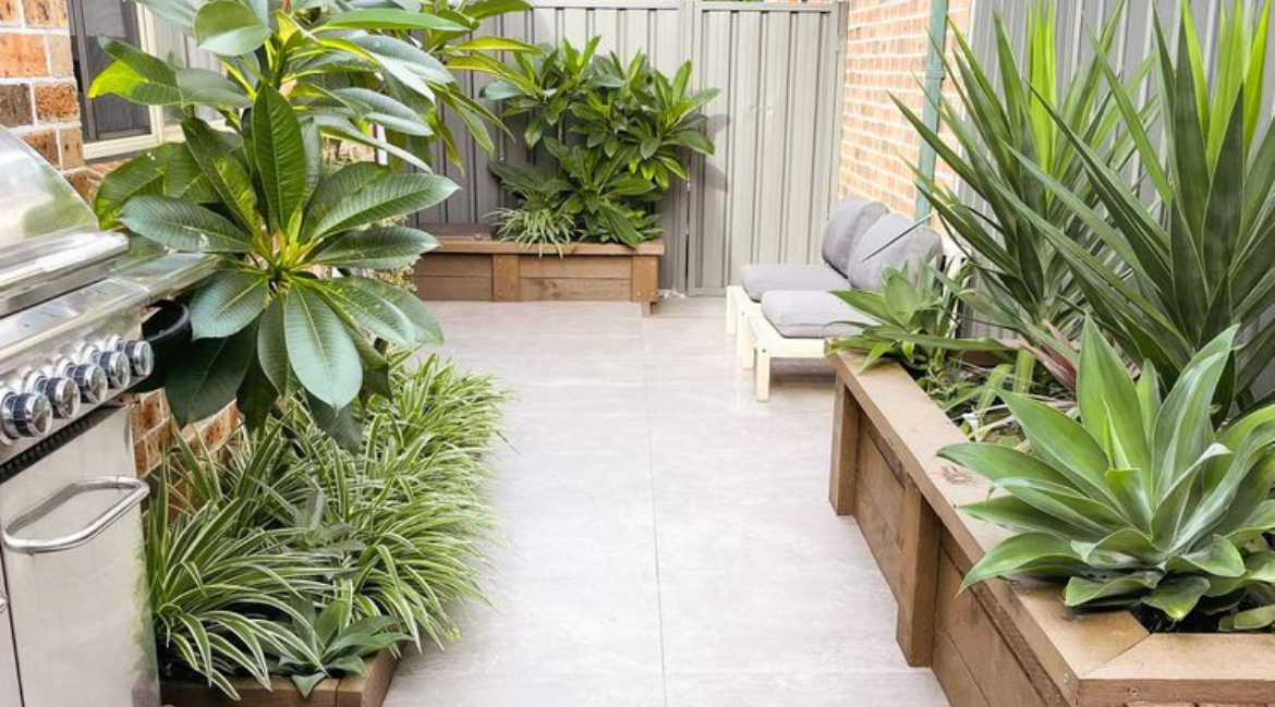 Marlie's small yard makeover.png Marlie's small yard makeover.png