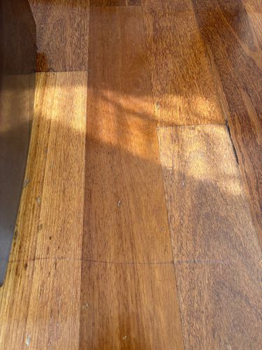 IMG_5148.jpeg IMG_5148.jpeg