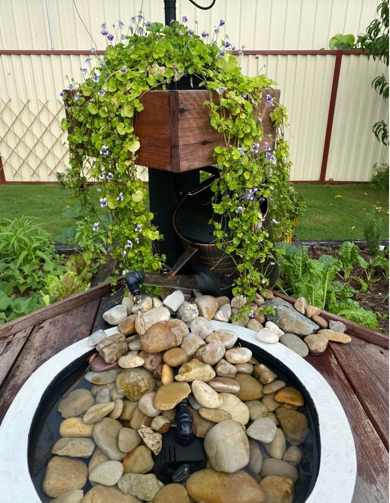 6D21794F-5017-40E1-9DDC-6BEFEC6C17B8.jpeg 6D21794F-5017-40E1-9DDC-6BEFEC6C17B8.jpeg