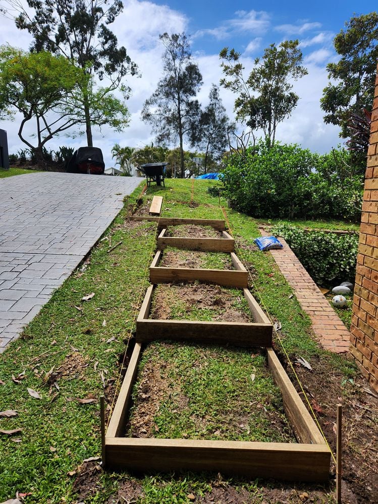 20241010_110215.jpg 20241010_110215.jpg