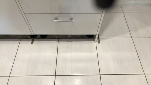 2CD81D1E-B284-4BD9-AC12-91195A9D9CBA.jpeg 2CD81D1E-B284-4BD9-AC12-91195A9D9CBA.jpeg