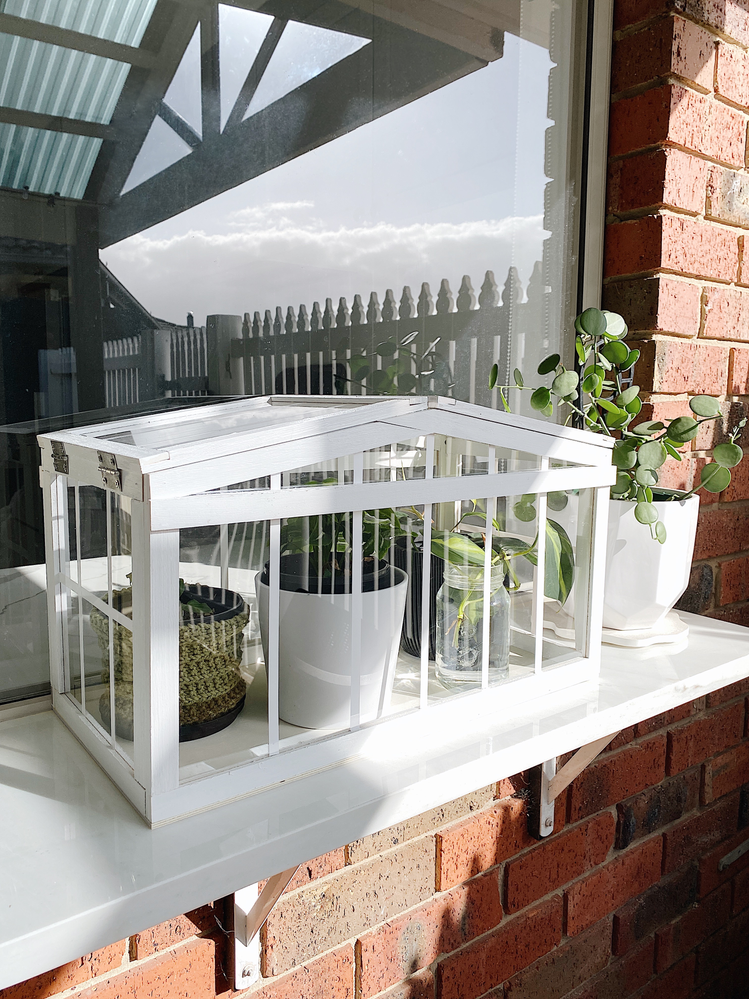 IMG_9199.PNG IMG_9199.PNG