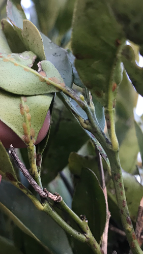 FE59FA11-CBC2-4E5F-98C7-87B18EB89D3A.png FE59FA11-CBC2-4E5F-98C7-87B18EB89D3A.png