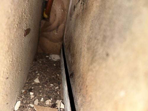 IMG_9066.jpeg IMG_9066.jpeg