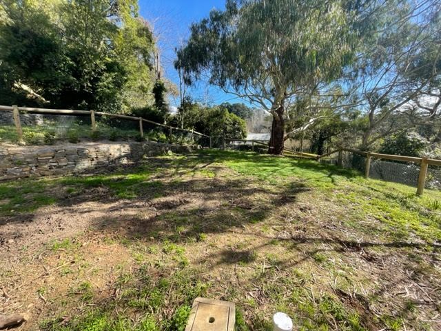 IMG_2952.jpg IMG_2952.jpg