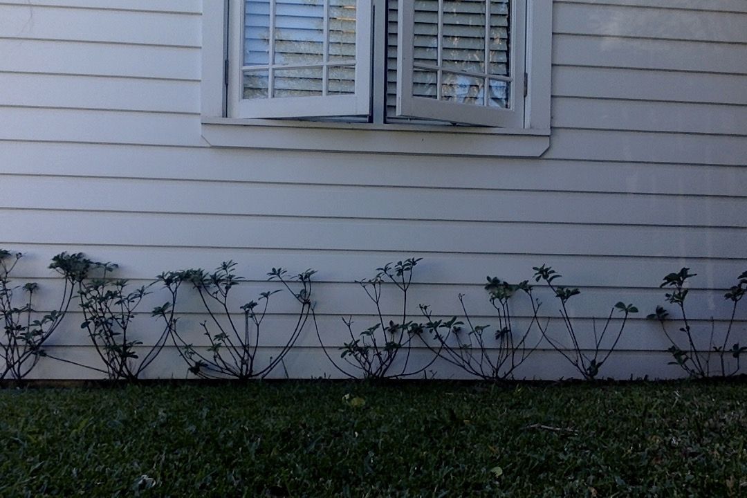 Photo on 3-7-20 at 12.11 pm #2.jpg Photo on 3-7-20 at 12.11 pm #2.jpg