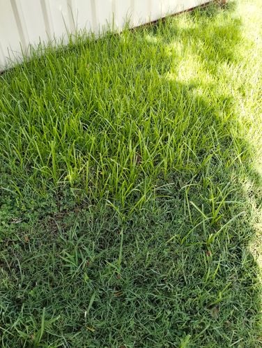 IMG20240106080616.jpg IMG20240106080616.jpg