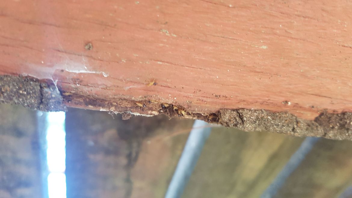 20240831_110110.jpg 20240831_110110.jpg