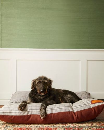 Purplepolkiri_0-1734513541413.jpeg Purplepolkiri_0-1734513541413.jpeg