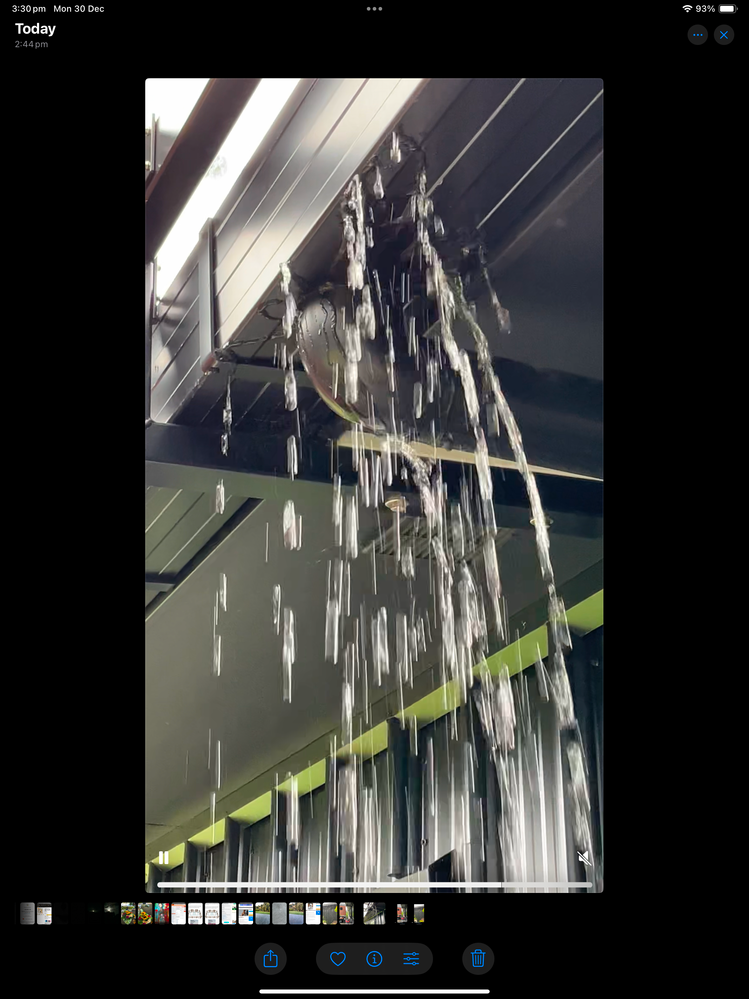 IMG_9169.png IMG_9169.png