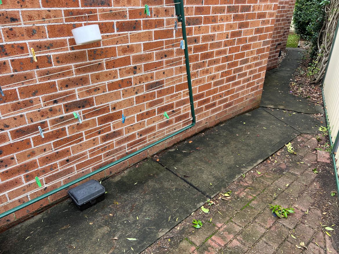 IMG_5234.jpeg IMG_5234.jpeg