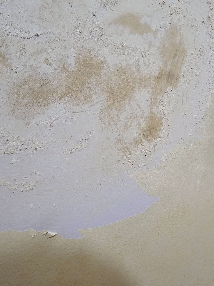 20250107_083010.jpg 20250107_083010.jpg