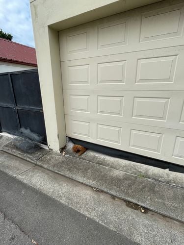 7170E83C-8796-4F77-9F1D-EF80B702C57F.jpeg 7170E83C-8796-4F77-9F1D-EF80B702C57F.jpeg