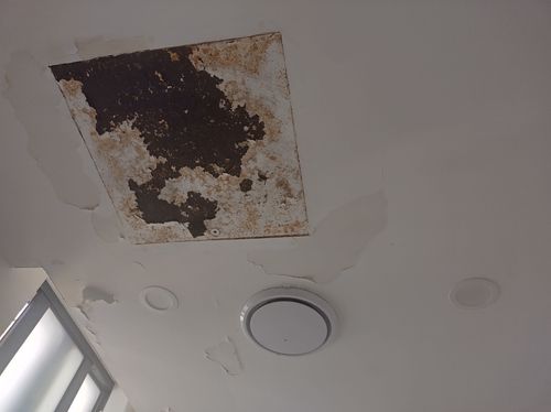 1000036928.jpg 1000036928.jpg