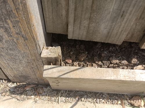 IMG20230109162626.jpg IMG20230109162626.jpg