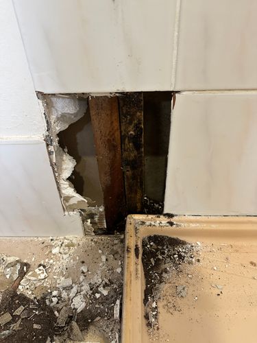 IMG_9071.jpeg IMG_9071.jpeg