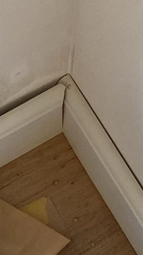 1fa40266-9d99-4fa4-9b34-5ae838fa6263.jpeg 1fa40266-9d99-4fa4-9b34-5ae838fa6263.jpeg