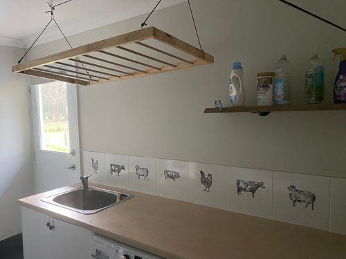 IMG_4674.jpeg IMG_4674.jpeg