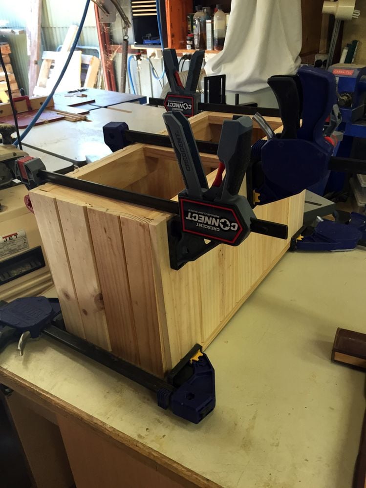 Doggy Bowls 7.jpg Doggy Bowls 7.jpg