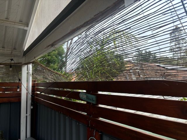 IMG_1128.jpg IMG_1128.jpg