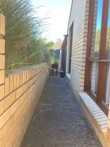 IMG_4912.jpeg IMG_4912.jpeg