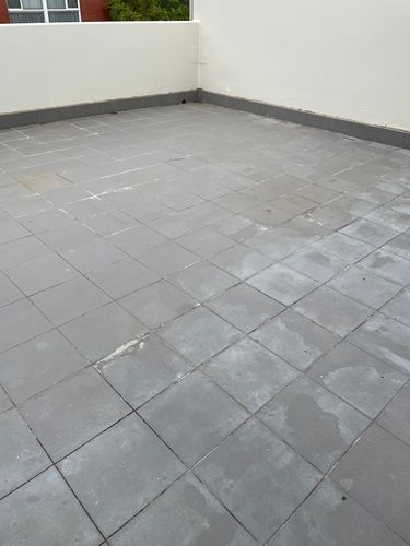 IMG_7791.jpeg IMG_7791.jpeg