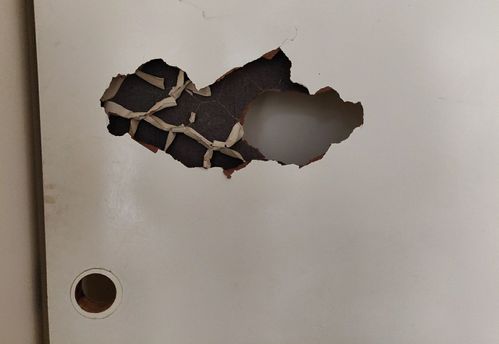 IMG_20230606_121559__01_copy_1534x1150__01.jpg IMG_20230606_121559__01_copy_1534x1150__01.jpg