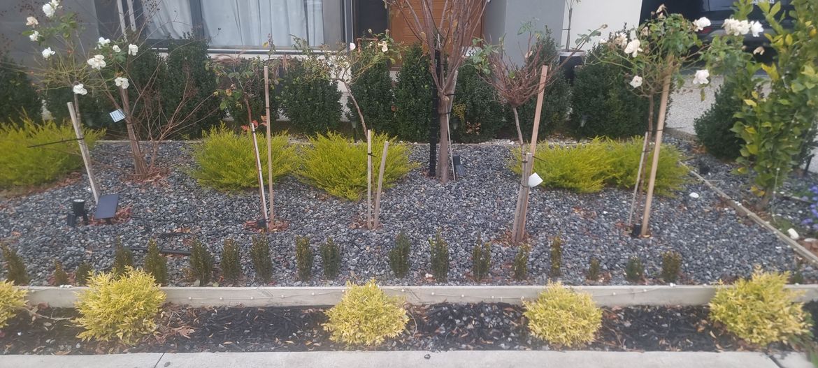 20250627_082947.jpg 20250627_082947.jpg