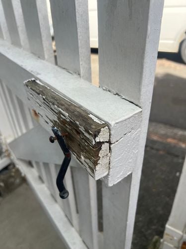 IMG_9994.jpeg IMG_9994.jpeg