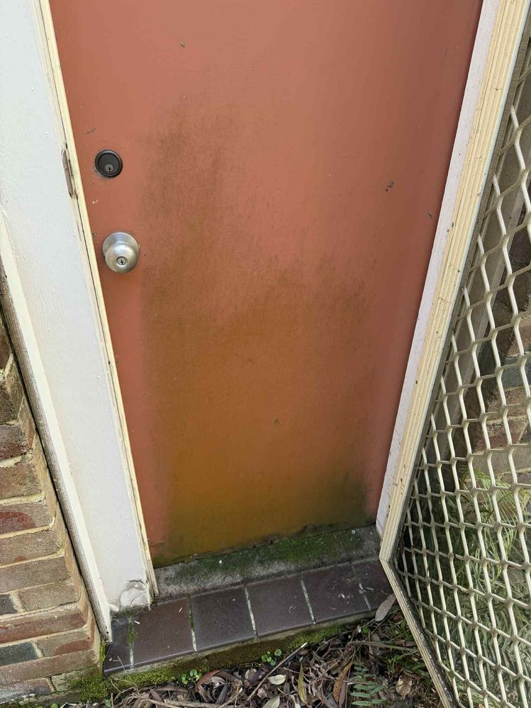 c9dc73c5-c484-4f6d-9d16-1941b2285ed2.jpg c9dc73c5-c484-4f6d-9d16-1941b2285ed2.jpg