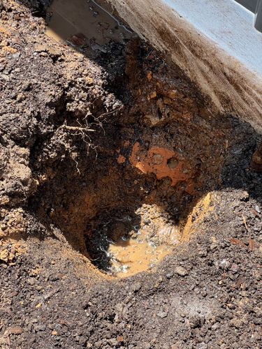 IMG_8685.jpeg IMG_8685.jpeg