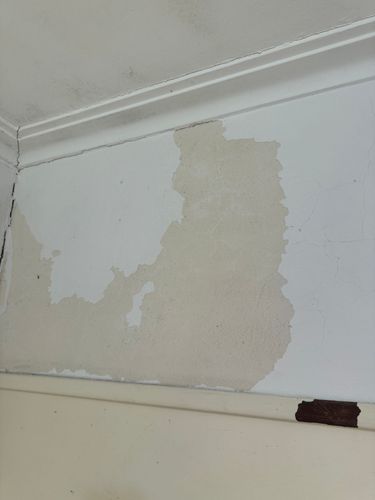 IMG_4258.jpeg IMG_4258.jpeg