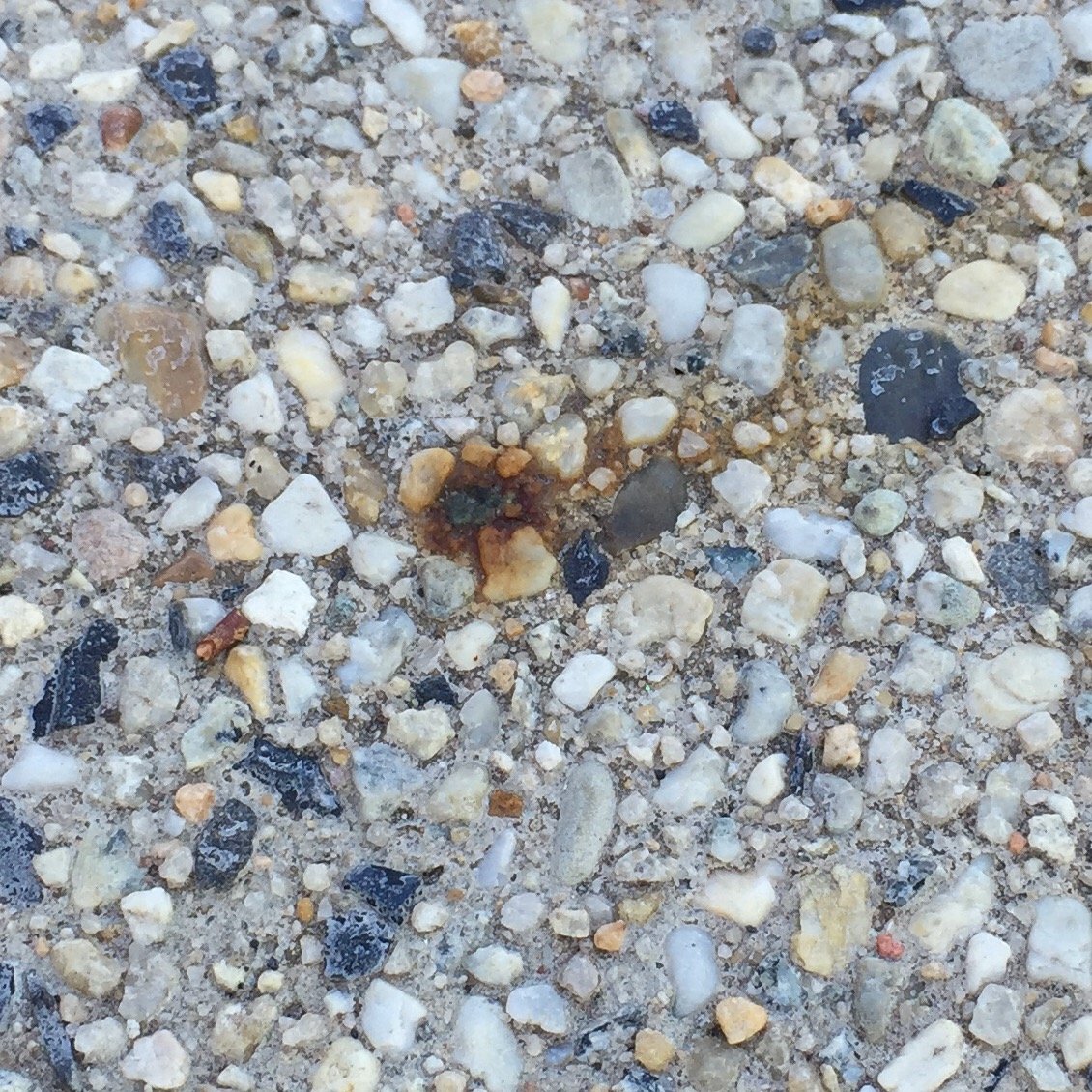 FullSizeRender 1.jpg FullSizeRender 1.jpg