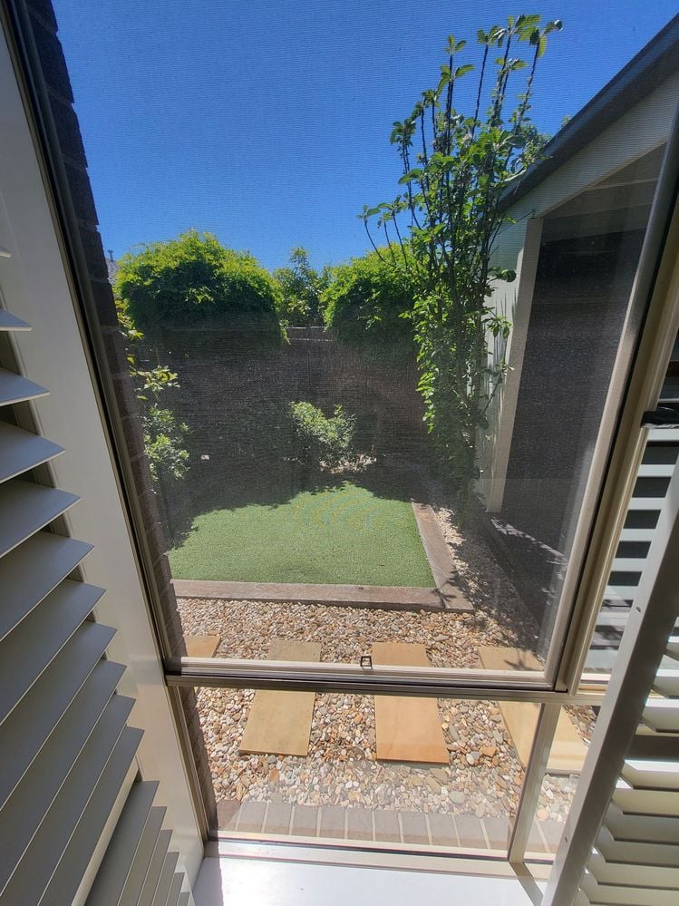 20211102_133517.jpg 20211102_133517.jpg