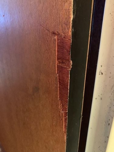 IMG_5554.jpg IMG_5554.jpg