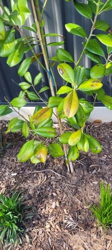 20251010_101059.jpg 20251010_101059.jpg