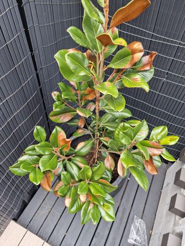 16797931727993858781315475750621.jpg 16797931727993858781315475750621.jpg