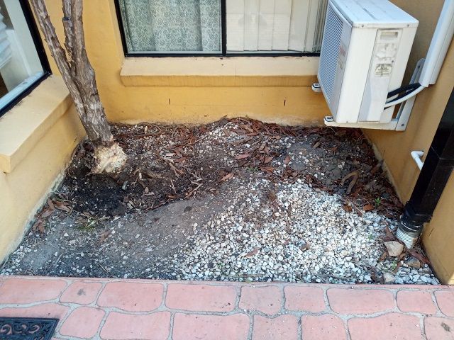 Zen 04.jpg Zen 04.jpg