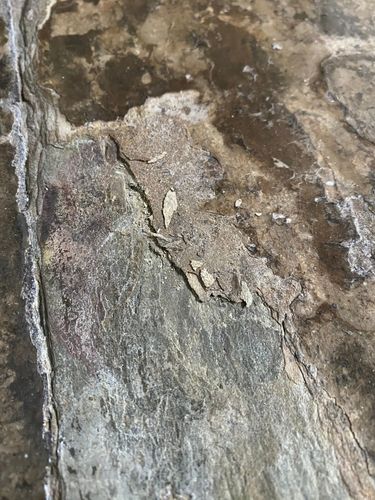 IMG_7939.jpeg IMG_7939.jpeg