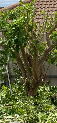 4B81E99C-199D-4162-AFE0-E60CCC49C46C.jpeg 4B81E99C-199D-4162-AFE0-E60CCC49C46C.jpeg